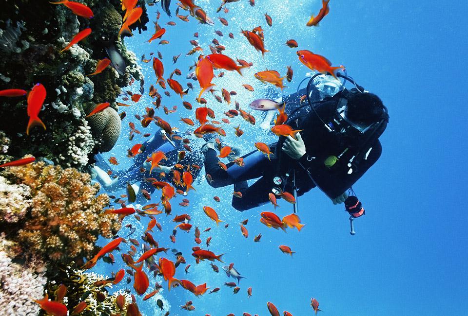 Diving-Madagascar