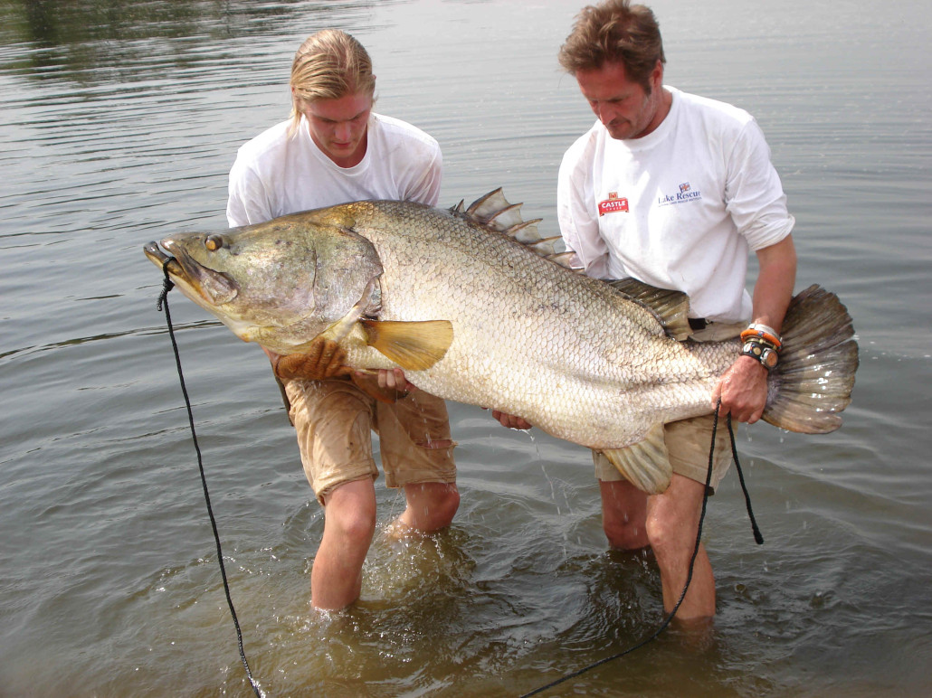 Great-Catch-White-Nile-Uganda