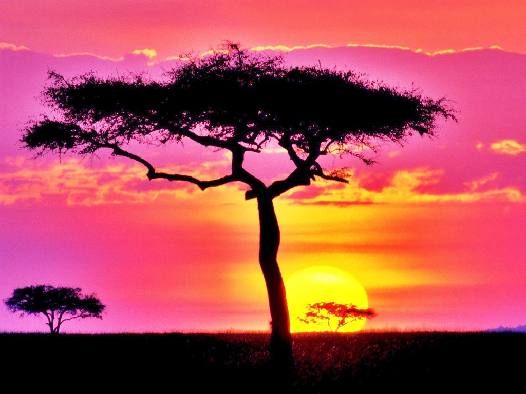 Maasai-Mara-Reserve-Sunset-Kenya