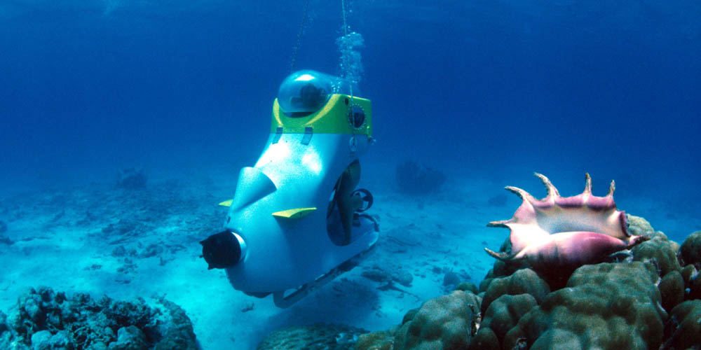 Mauritius-Blue-Safari
