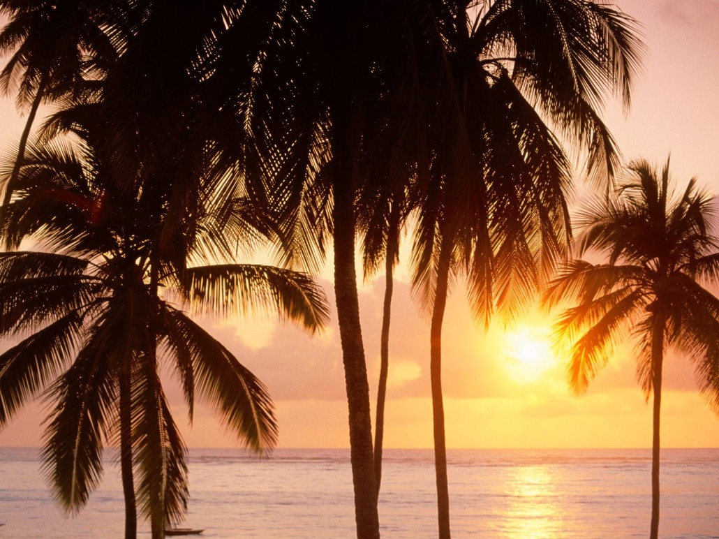 Sunset in Zanzibar