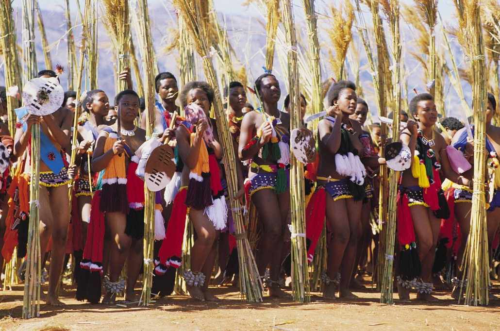 Swazi Reed Dance