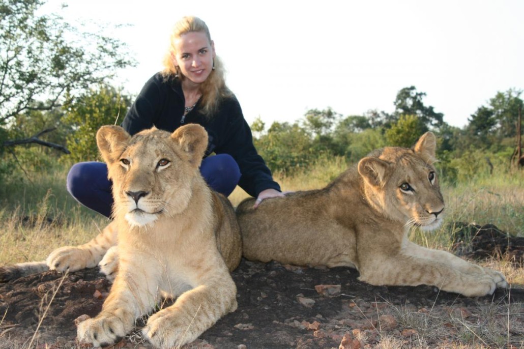 Walking with Lions, Zimbabwe