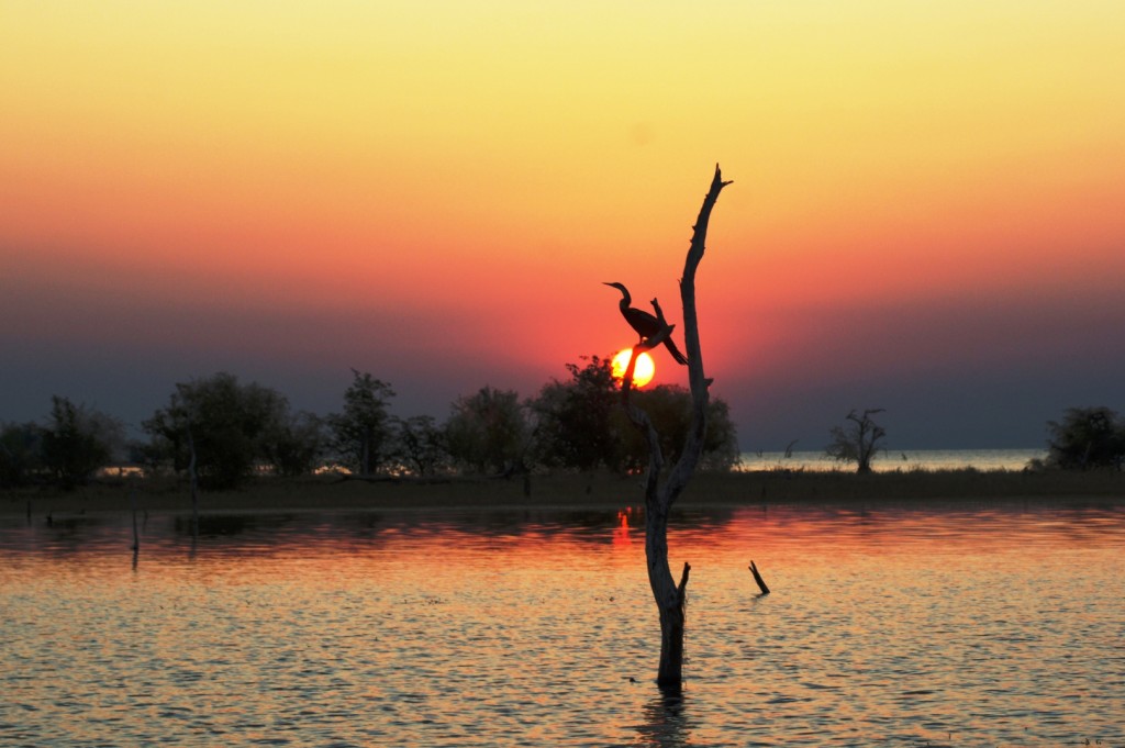 Zimbabwe Sunset on Zambezi